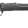 Savage B17 Compact .17 HMR, 18" Barrel, Synthetic Black Stock, Blued, 10rd