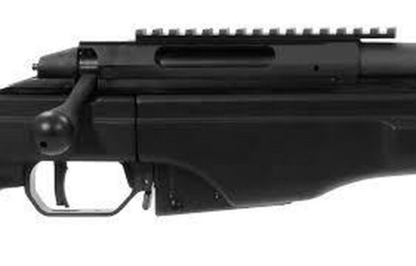 Sako TRG 22 .260 Rem, 20" Barrel, Picatinny Rail, Black, 10rd