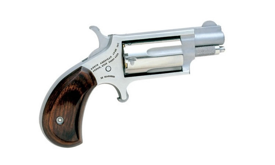 22 Magnum Mini-Revolver (1 1/8-inch Barrel) - Firearms | The Gun Shop