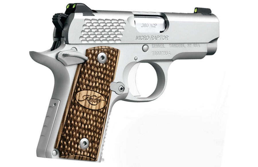 Micro Raptor Stainless 380 Auto Centerfire Pistol - Firearms | The Gun Shop