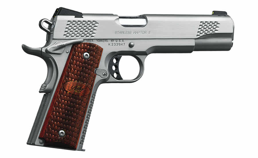Stainless Raptor II .45 ACP with Night Sights - 1911 Pistols | The Gun Shop