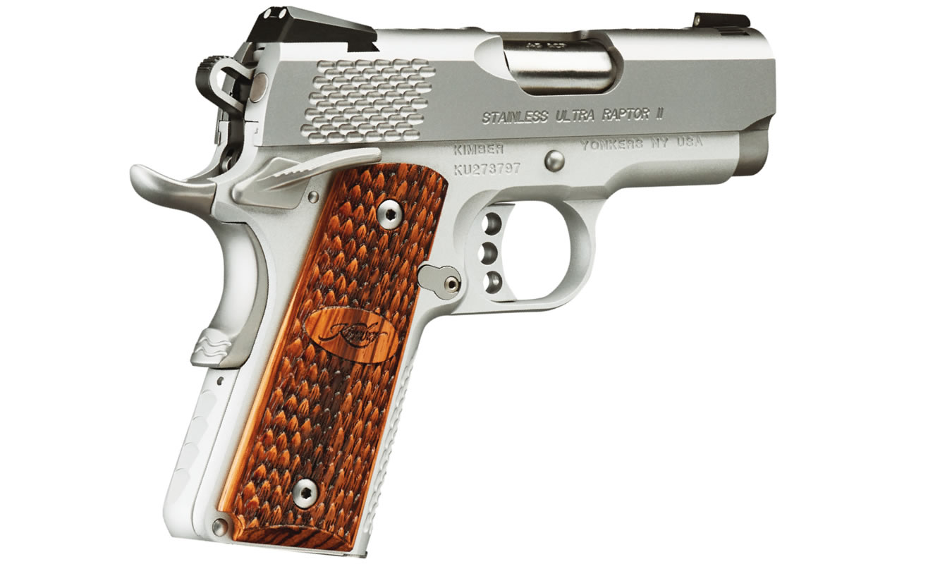 Stainless Ultra Raptor II 45 ACP with Night Sights - Firearms | The Gun Shop