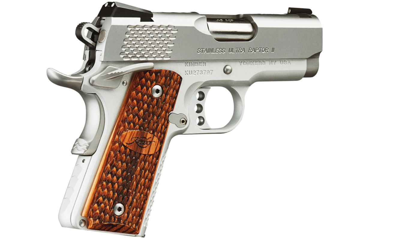 Stainless Ultra Raptor II 9mm with Night Sights - Firearms | The Gun Shop