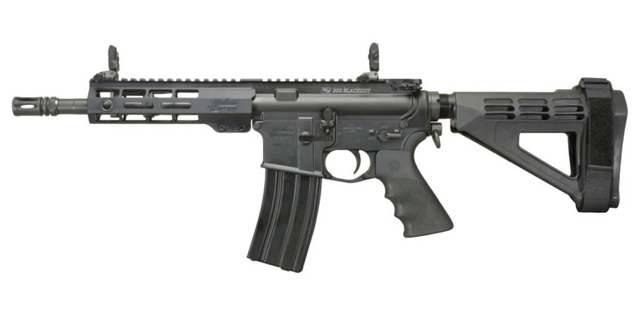 WW-15 300 Blackout AR Pistol with Brace - Firearms | The Gun Shop