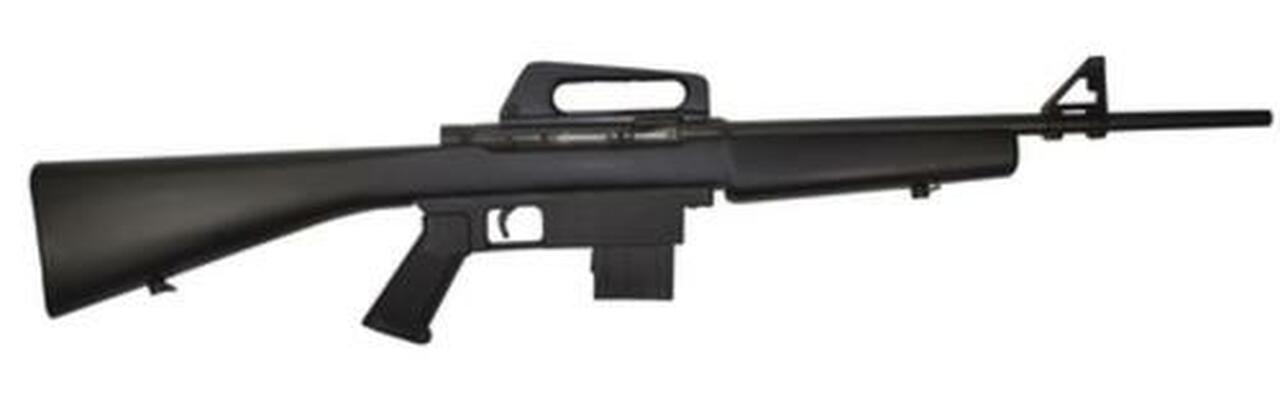 Armscor Model 1600 22LR AR-15 18.25" Blue Black Stock 10 Round