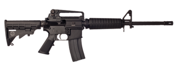 Bushmaster A3 Carbine .223/5.56 16" Barrel Detachable Carry Handle 30 Rd Mag
