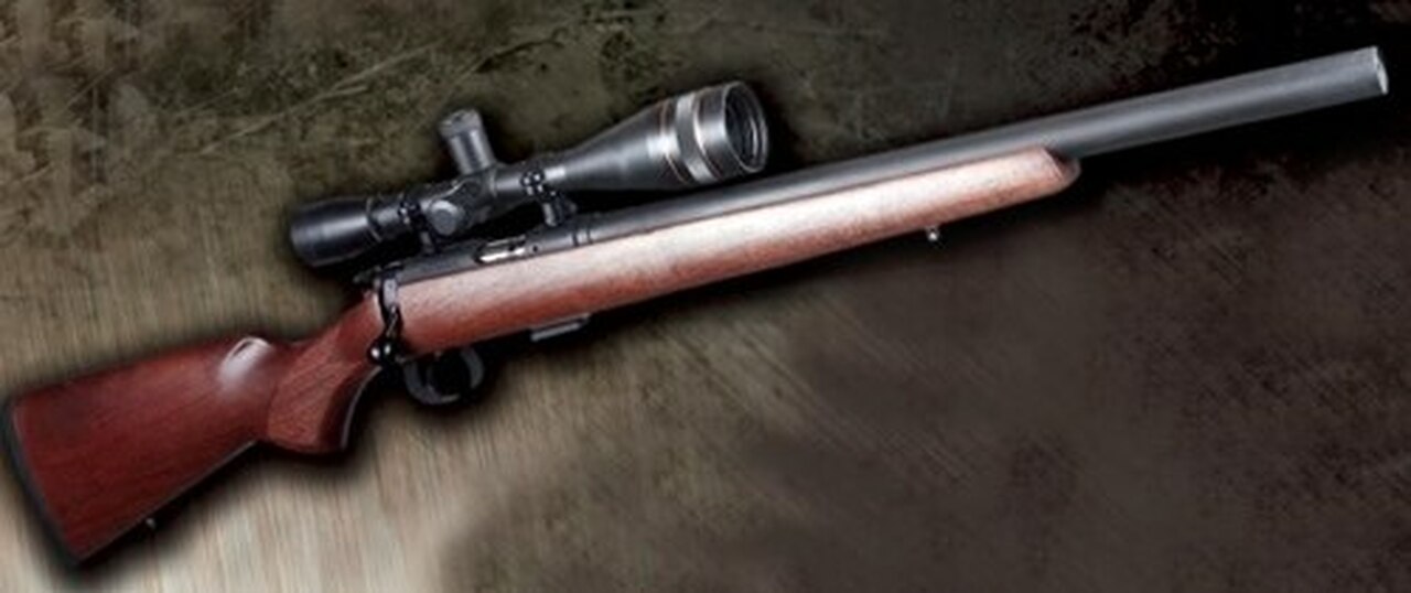 AWC Ruger 10/22 Blued with Ulta 13 Removable Core Suppressork with Hardwood Stock