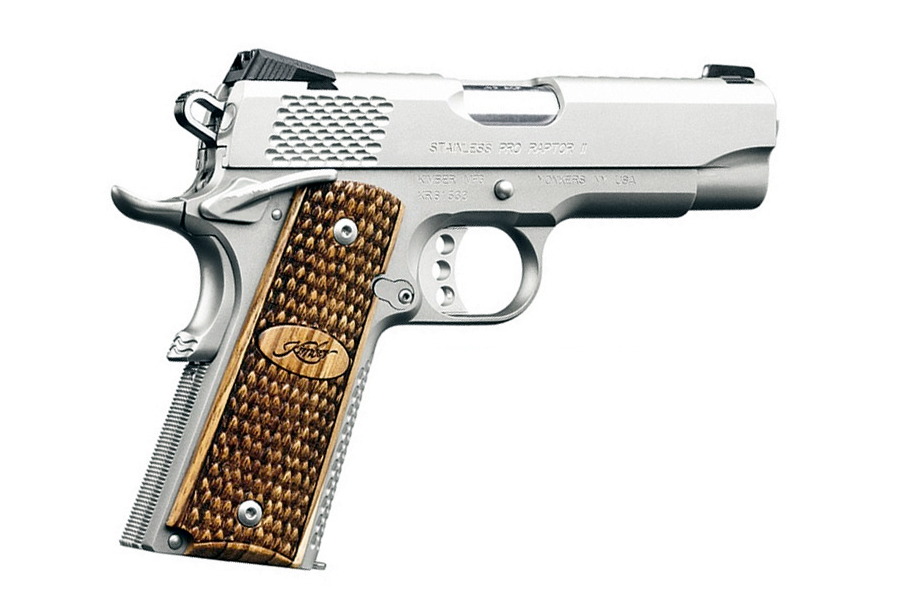 Stainless Pro Raptor II 9mm Pistol with Night Sights - Firearms | The Gun Shop