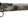 Keystone Crickett 22LR, Stainless Steel Mossy Oak Break Up Camo