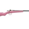 Keystone Crickett 22LR, Blued Barrel, Pink Synthetic Stock