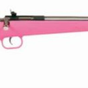 Keystone Davey Crickett Model 221 Youth, Lock 22LR 16.125 Inch Barrel Stainless Steel Finish Pink Synthetic Stock