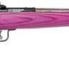 Keystone Crickett SS Keystone 22LR, 16.12", Pink Laminate, Stainless Steel