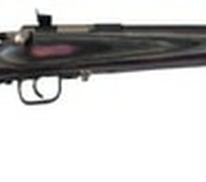 Keystone Crickett Youth, Lock, 22LR, 16.125" Barrel, Blue Finish, Purple Laminated Stock
