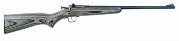 Keystone Crickett 22LR, 16.5", Laminated Blue