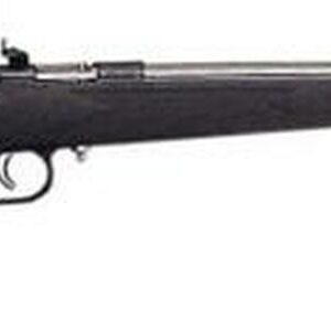 Keystone Crickett 22LR, SS Barrel, Black Synthetic Stock