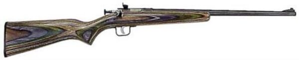 Keystone Crickett 22LR, 16.12", Camo Laminate Blue