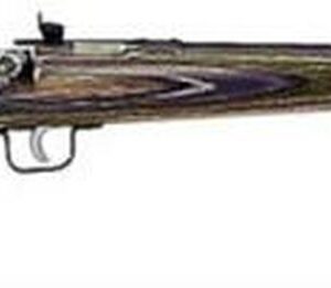 Keystone Crickett 22LR, 16.12", Camo Laminate Blue