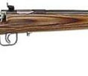 Keystone Crickett 22LR, 16.12", Brown Laminate, Blued