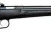 Keystone Davey Crickett Model 280 Youth With Lock .22 Winchester Magnum 16.125" Barrel Blue Finish Black Synthetic Stock