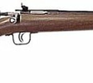 Keystone Crickett 22LR,16.12", American Walnut Blue, Davey Cricket