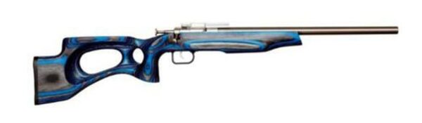 Keystone Crickett 22LR Target SS/Laminated