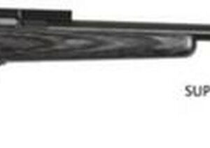 Keystone Crickett 22LR Blued/Black Laminate Threaded Barrel