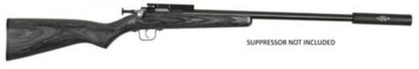 Keystone Crickett 22LR Blued/Black Laminate Threaded Barrel