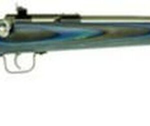 Keystone Crickett 22LR, 16.125", Blue Laminate Stock Stainless Steel