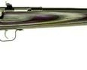 Keystone Crickett 22LR, 16.12", Purple Laminate Stock