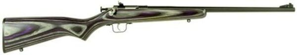 Keystone Crickett 22LR, 16.12", Purple Laminate Stock
