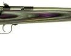 Keystone Crickett 22LR, 16.12", Purple Laminate Stock, Stainless Steel