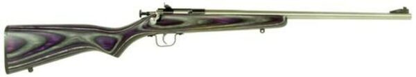 Keystone Crickett 22LR, 16.12", Purple Laminate Stock, Stainless Steel
