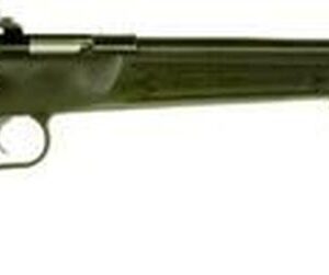 Keystone Crickett 22LR, 16.12", Black Synthetic Stock, Blued