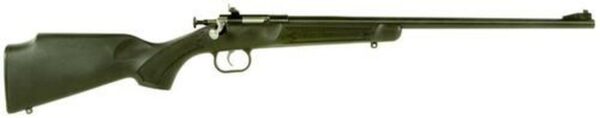 Keystone Crickett 22LR, 16.12", Black Synthetic Stock, Blued
