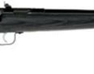 Keystone Sporting Arms, Crickett, Gen 2, Youth, Bolt Action, Single Shot Rifle, 22 LR, 16.125" Barrel, Blue Finish, Black Laminate Stock, Adjustable Sights