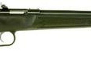 Keystone Crickett 22 Magnum, 16" Black Synthetic Stock, Blued