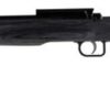 Crickett Black Target 22LR, 16.125" Barrel, Laminate Thumbhole Black Stock, Blued