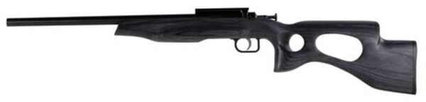 Crickett Black Target 22LR, 16.125" Barrel, Laminate Thumbhole Black Stock, Blued