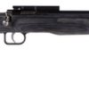 Crickett Black Target 22LR, 16.125" Barrel, Laminate Thumbhole Black Stock, Blued