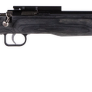 Crickett Black Target 22LR, 16.125" Barrel, Laminate Thumbhole Black Stock, Blued