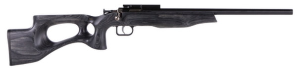Crickett Black Target 22LR, 16.125" Barrel, Laminate Thumbhole Black Stock, Blued