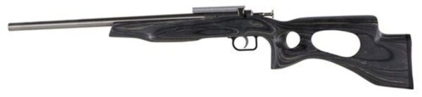 Crickett Black Target 22LR, 16.125" Barrel, Laminate Thumbhole Black Stock, Stainless Steel