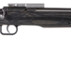 Crickett Black Target 22LR, 16.125" Barrel, Laminate Thumbhole Black Stock, Stainless Steel