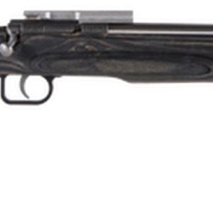 Crickett Black Target 22LR, 16.125" Barrel, Laminate Thumbhole Black Stock, Stainless Steel