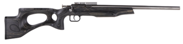 Crickett Black Target 22LR, 16.125" Barrel, Laminate Thumbhole Black Stock, Stainless Steel