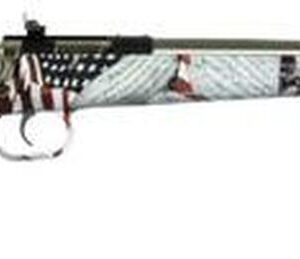 Keystone Crickett 22LR, 16", Amendment Stock, SS