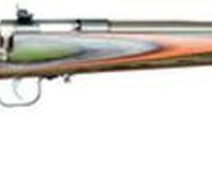 Keystone Crickett 22LR SS/Camo Laminate