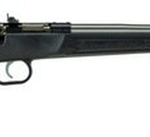 Cricket Black Synthetic 22LR, Stainless, 2 Spacers