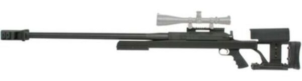 Armalite ArmaLite AR-50A1 National Match, 50 BMG