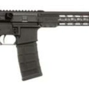 Armalite M-15 3-Gun 5.56/223 Wylde 18" SS Barrel MBA-1 Light Weight Precision Stock Black 30rd Mag